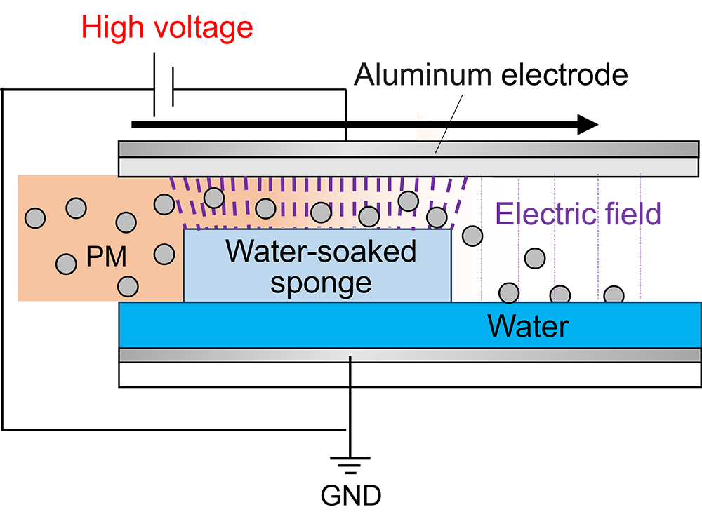 2606m_kuwahara01.png