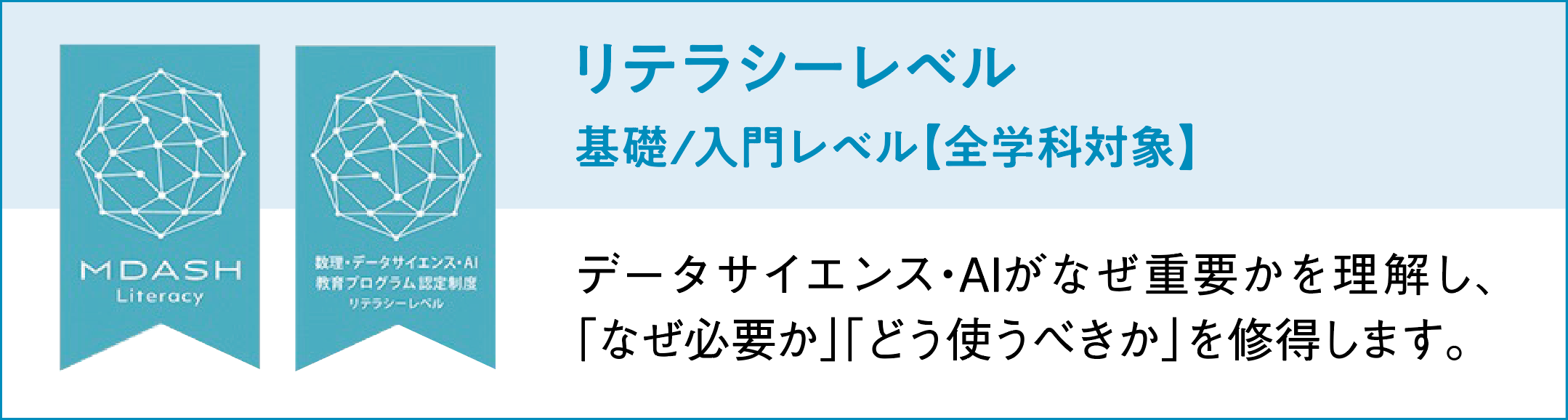 リテラシーレベル1.png