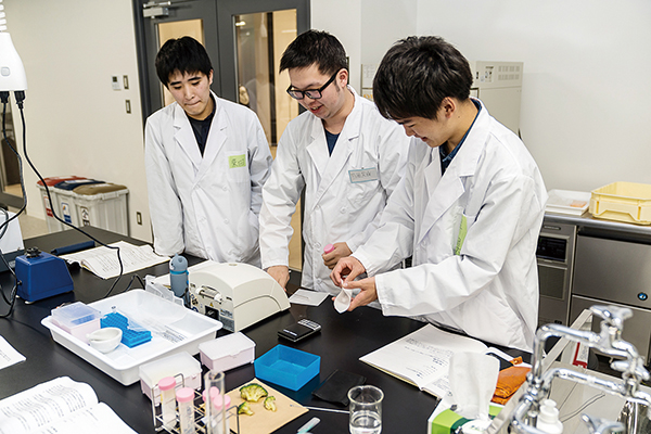 基幹工学部 環境生命化学科|学部・大学院|実工学教育の日本工業大学 基幹工学部 環境生命化学科|学部・大学院|実工学教育の日本工業大学