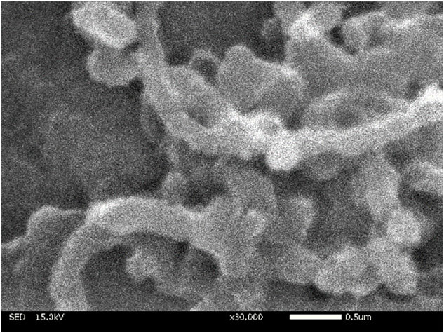 図1実験Aのナノカーボン（30000倍).jpg