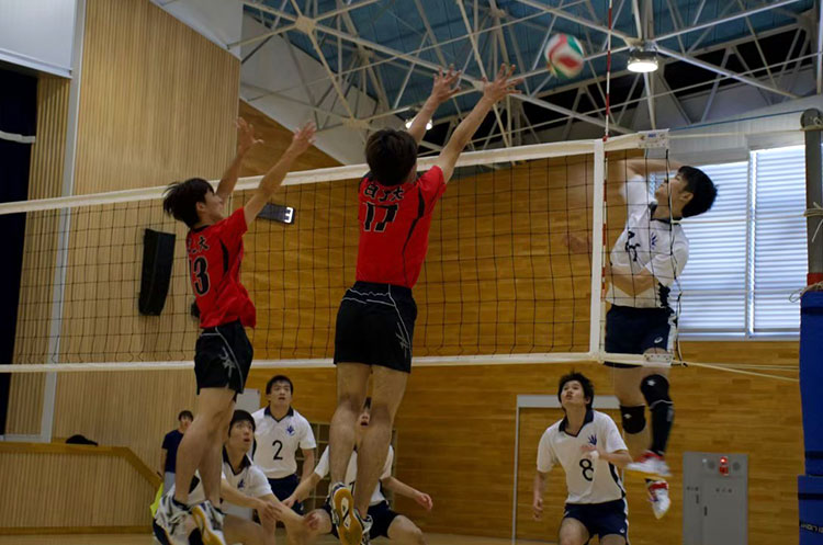 club-thumb-volleyball-2.jpg