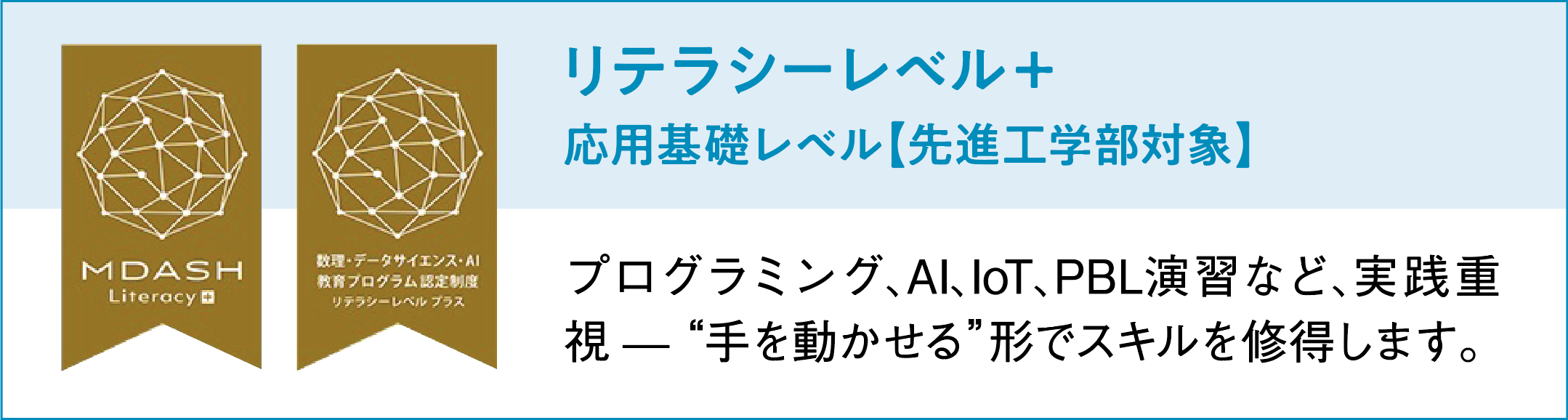 リテラシーレベル2.png