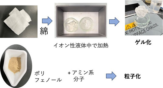 新倉先生画像1（HP）.jpg