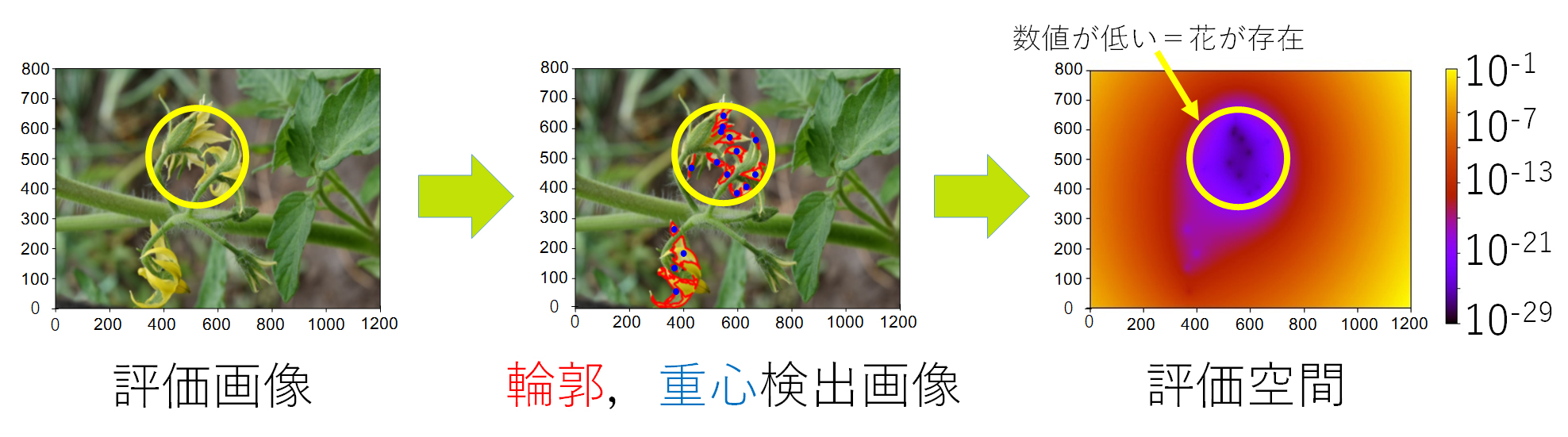 花の座標を特定可能.jpg