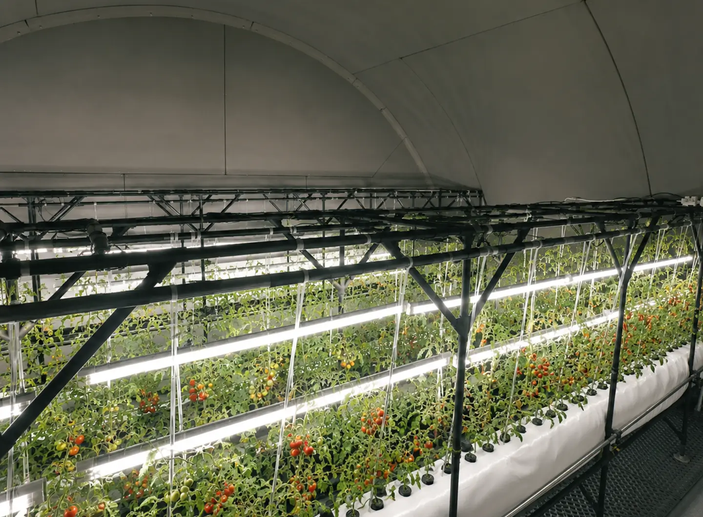 cultivation03@2x.webp