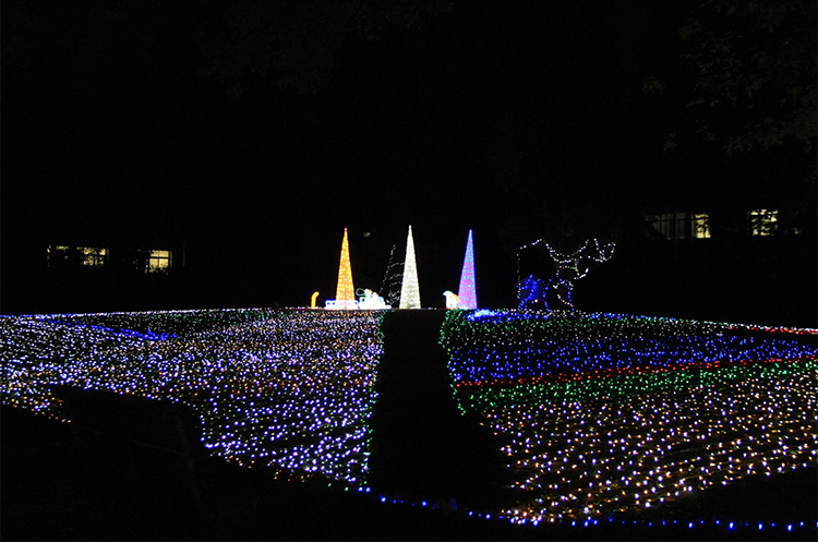 school-fes-01.jpg