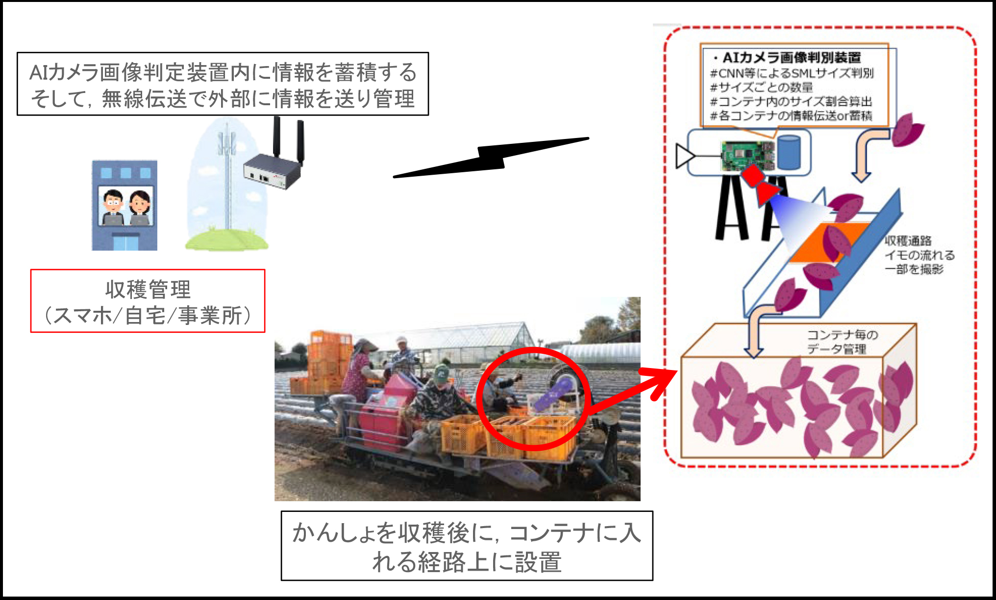 かんしょ資料（改）.jpg