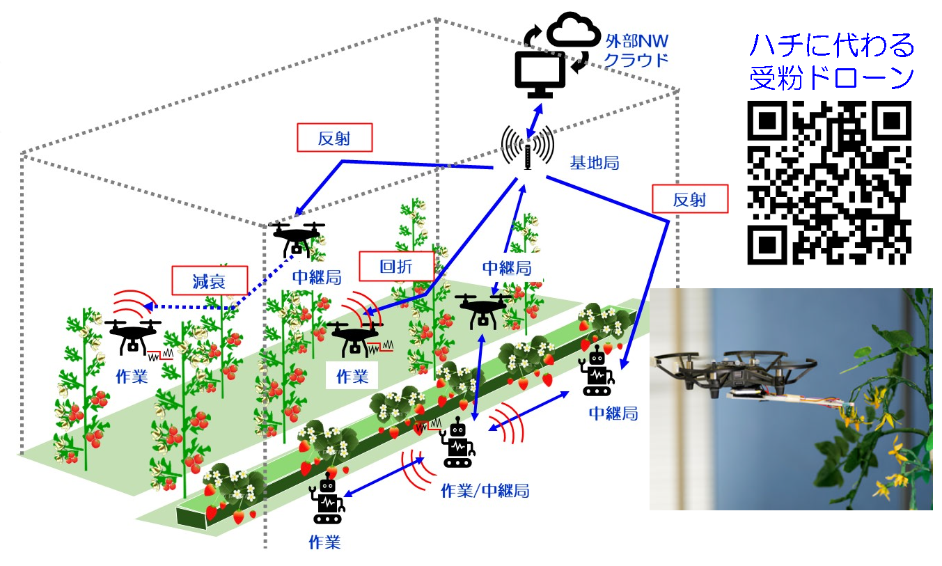 平栗教授02_02.png