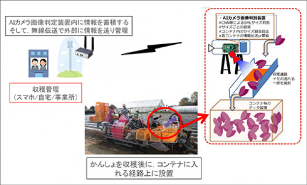 かんしょ資料サムネイル.jpg