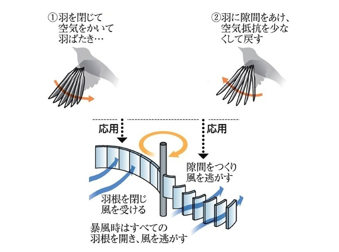 ダリウス・サポニウス風車